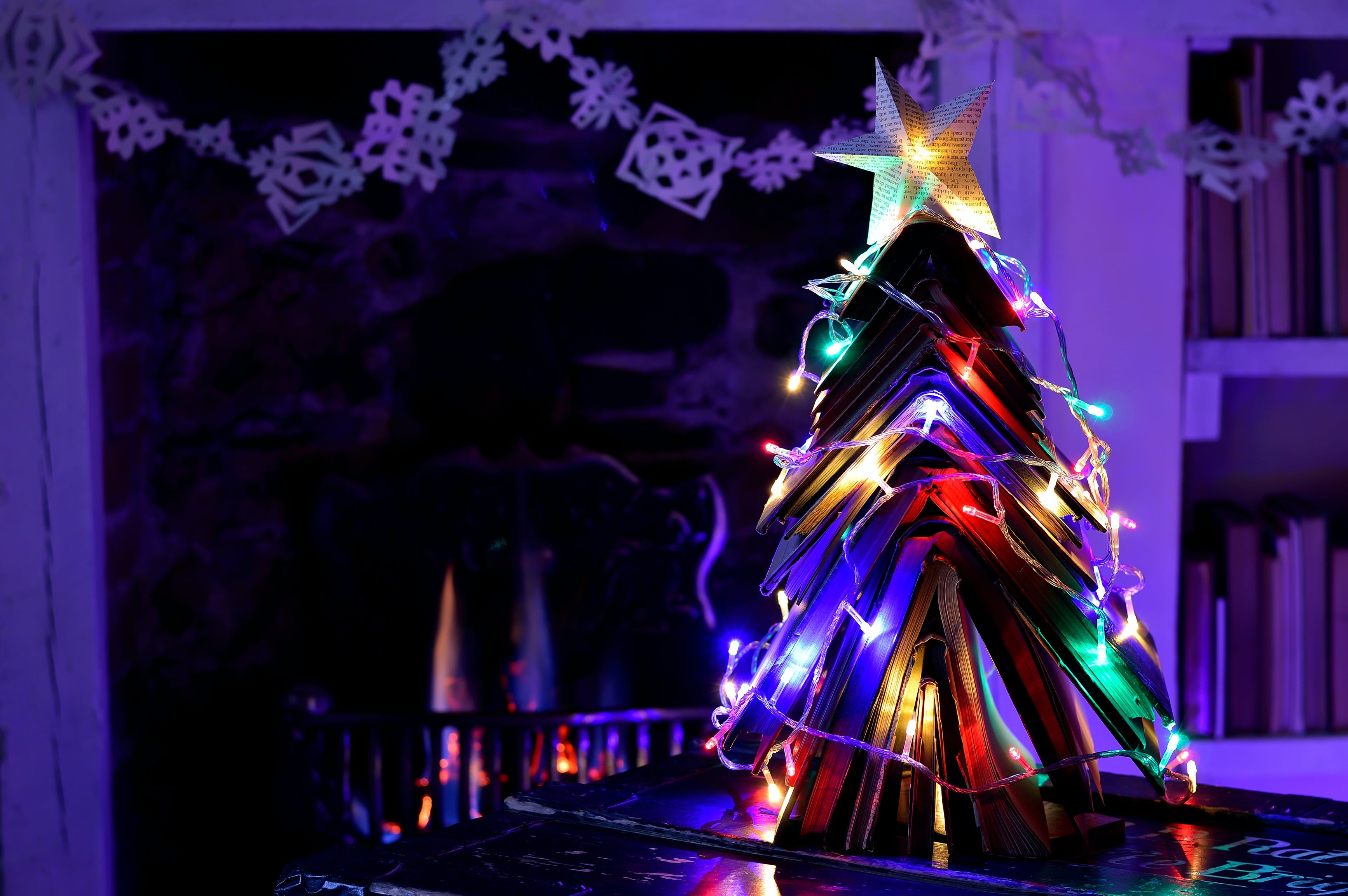 brad de craciun din carti