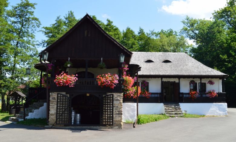 casa de vacanta la munte