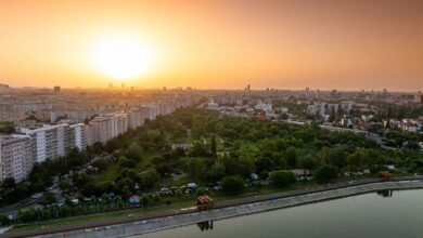 cartier crangasi bucuresti