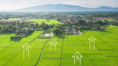 imagine cu un teren larg, verde