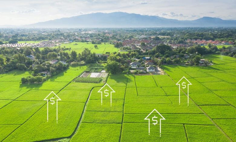 imagine cu un teren larg, verde